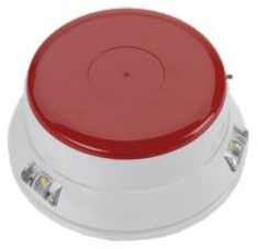 LID200_red2