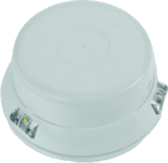 LID200_white2